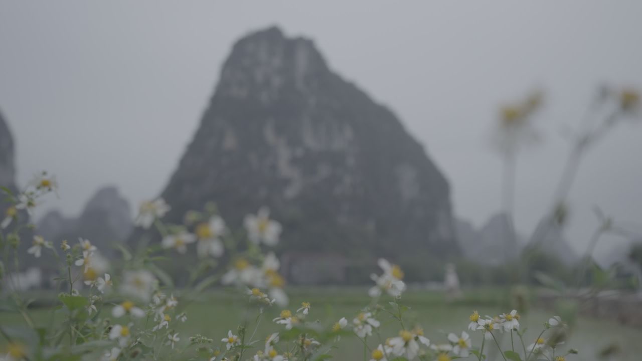 农村 1