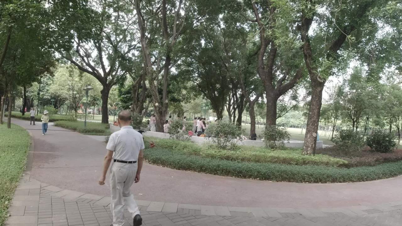 公园 10