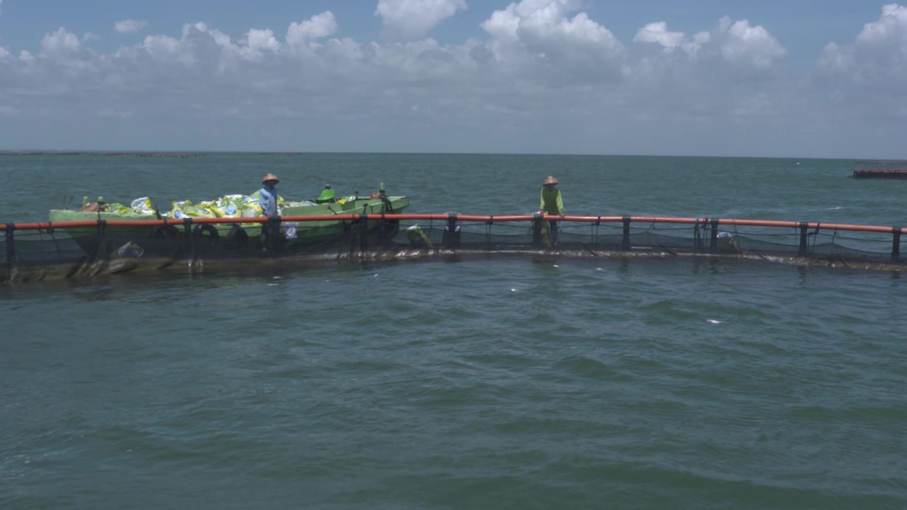 海洋牧场深海养殖