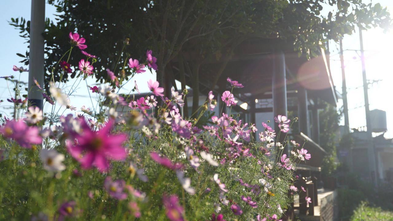 花