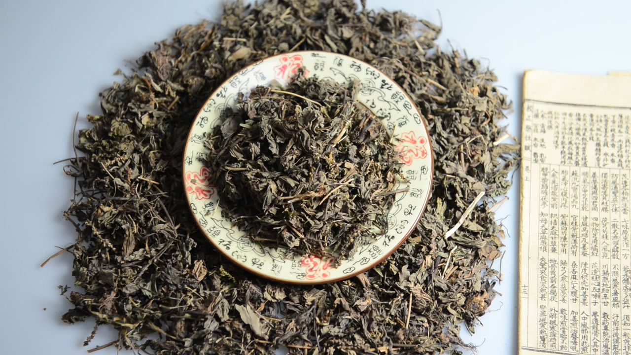 中药材车前草 15