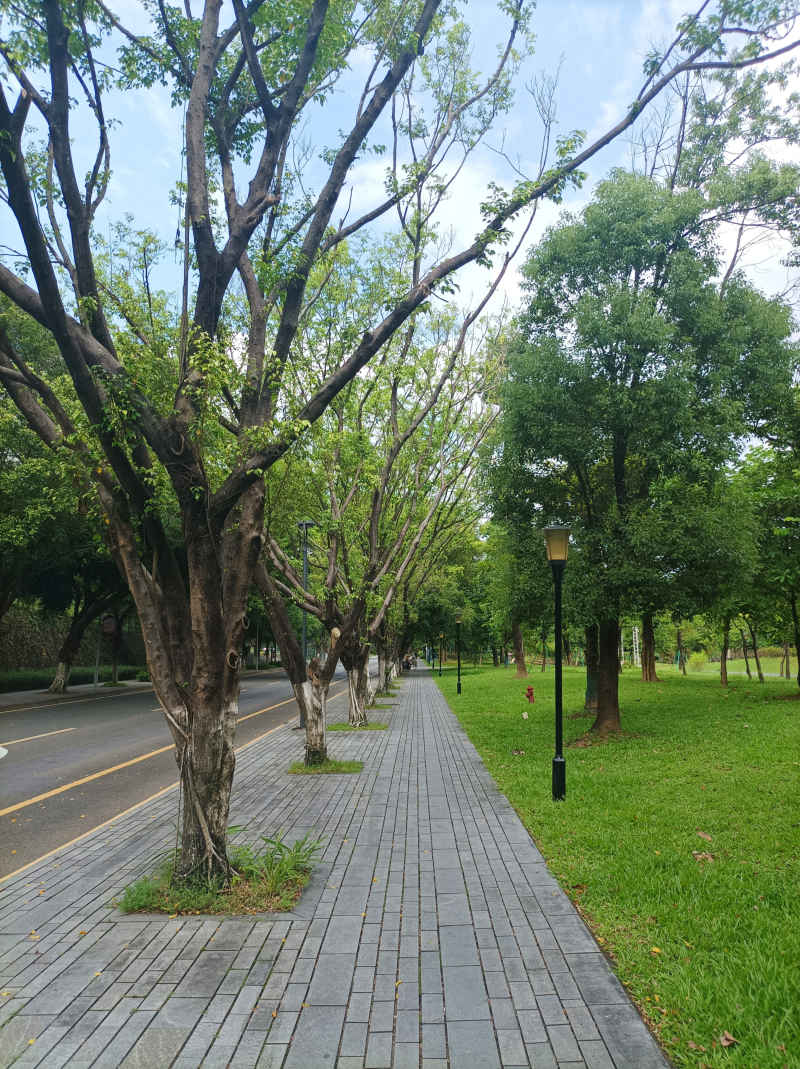 公园人行道
