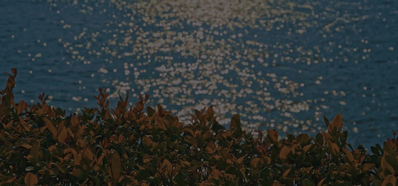 花海