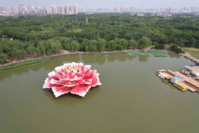 航拍洛阳-洛阳市隋唐城遗址植物园