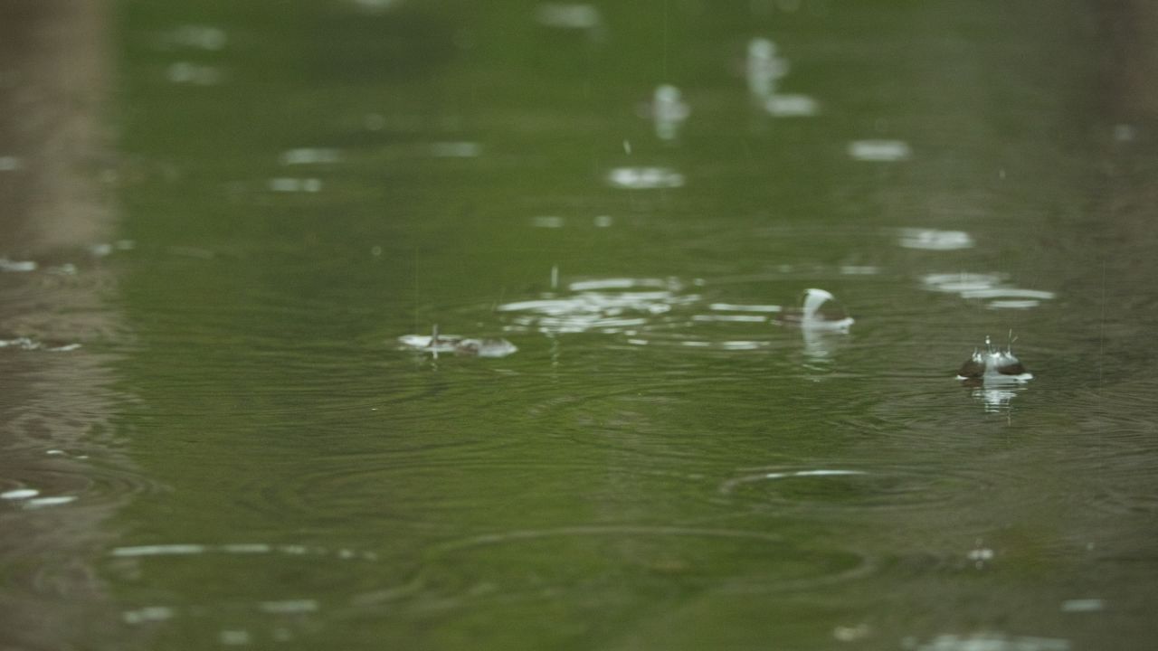 下雨清明谷雨酸雨倾盆大雨蒙蒙细雨 22