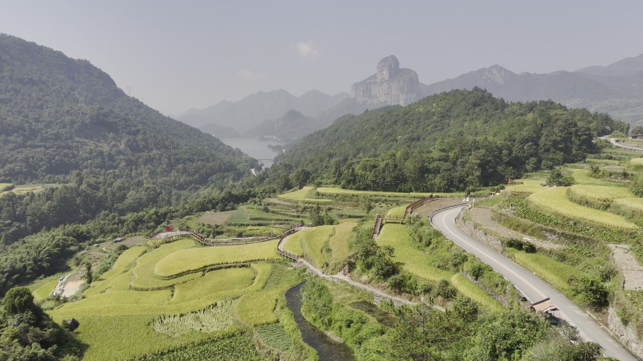 温州中雁荡山与梯田水稻 28