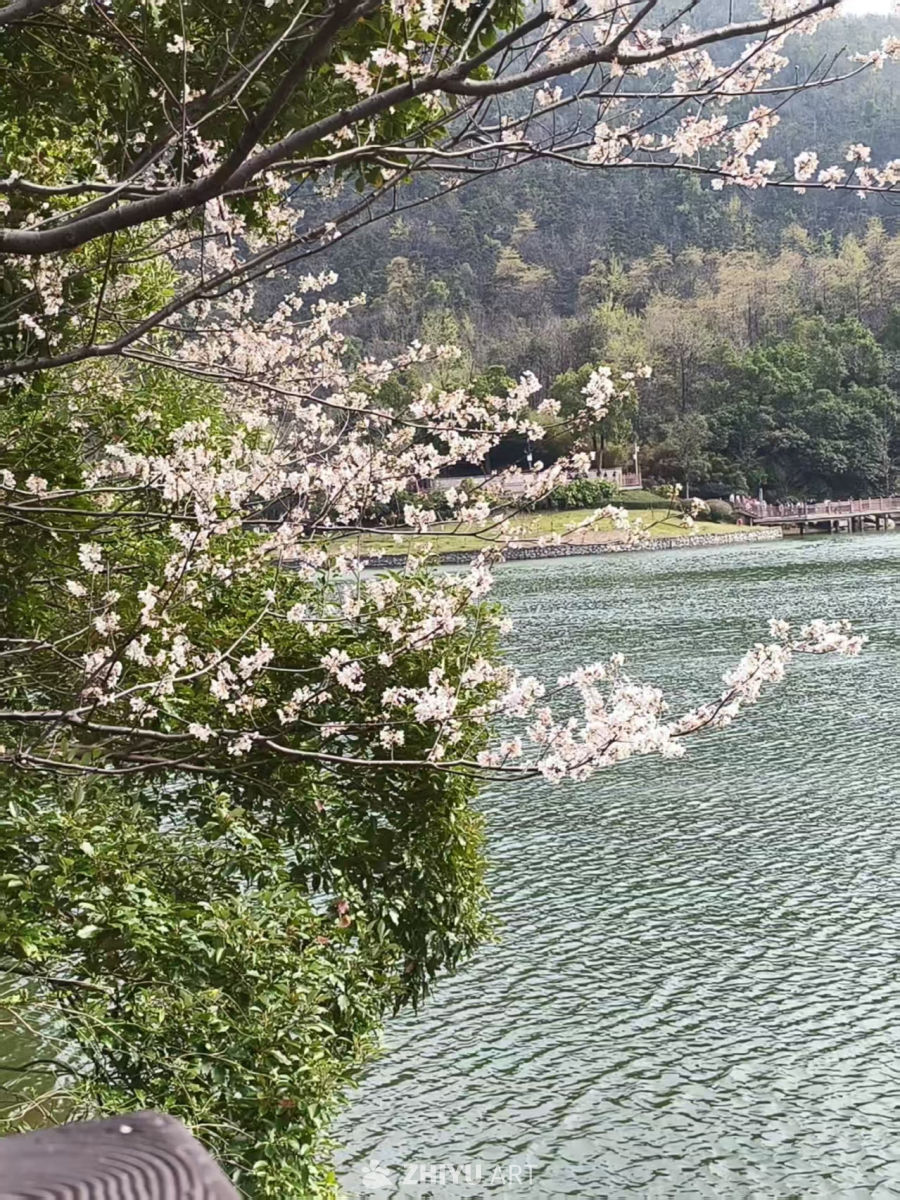 长沙桃花岭绝美打卡风景点