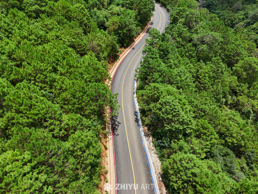 森林中的蜿蜒公路