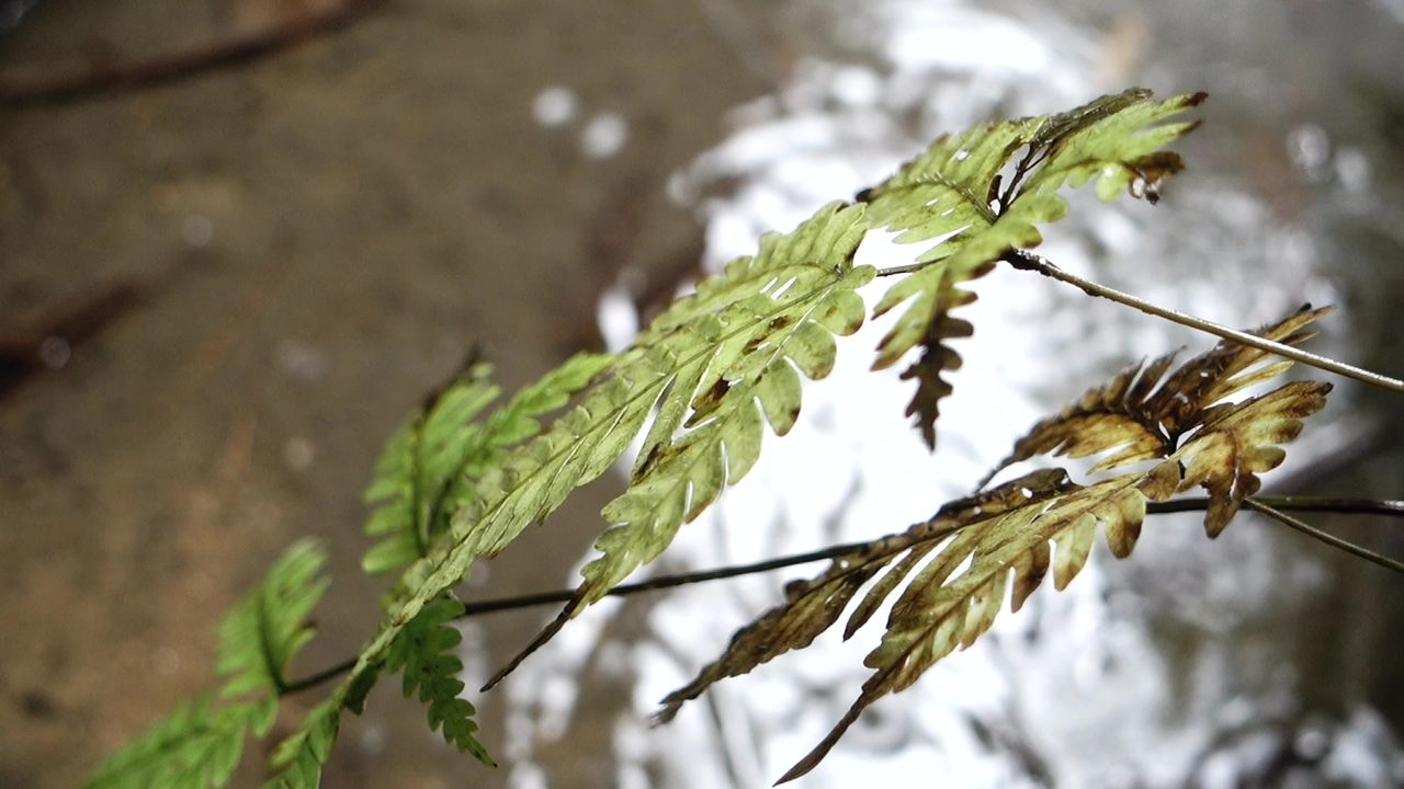 下雨天