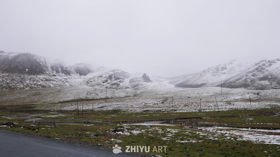 雪山下的草地