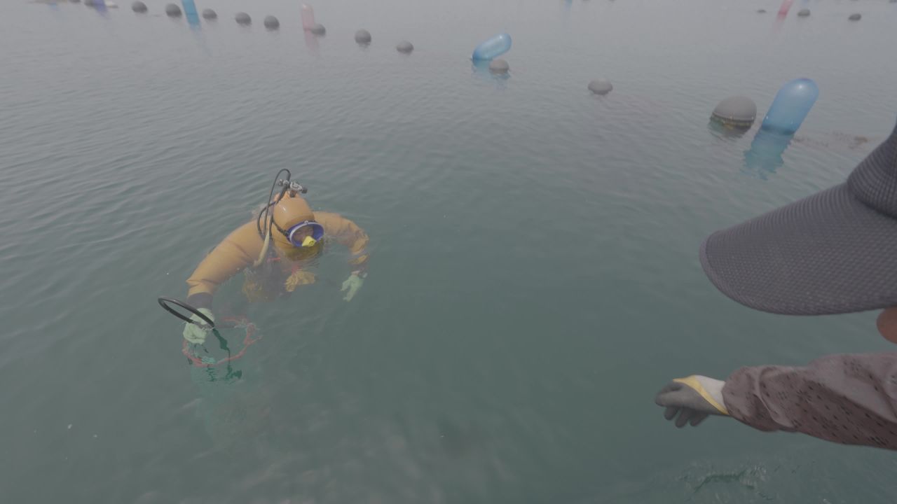 海参捕捞与渔民潜水作业