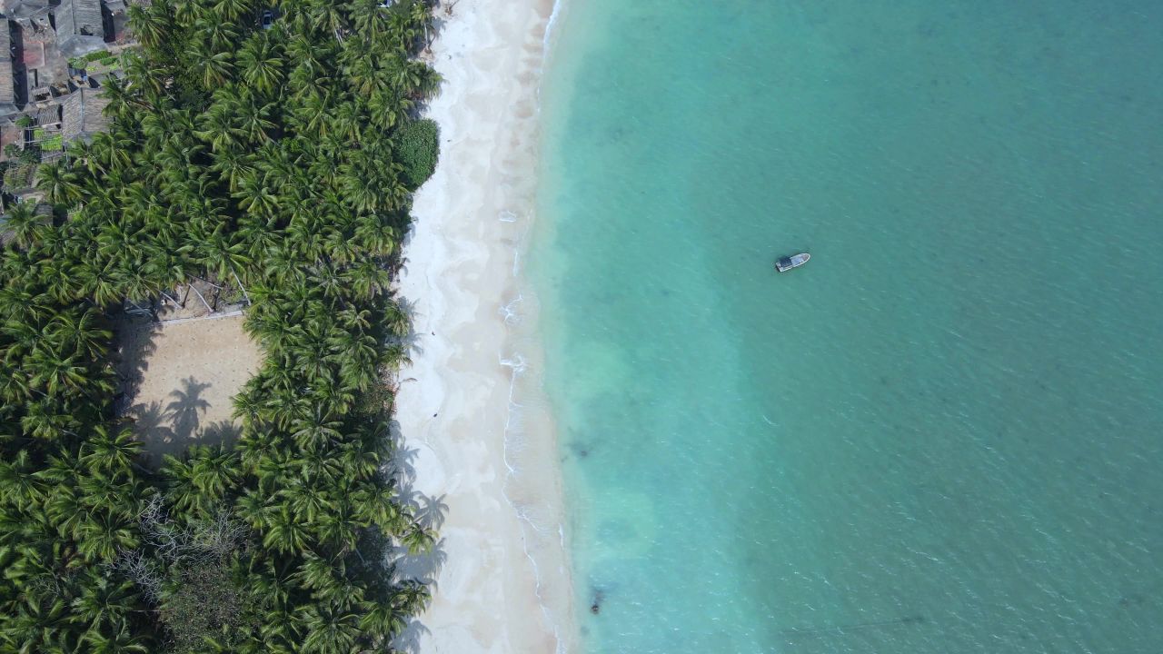 海南琼海博鳌的椰林海岸和碧绿大海