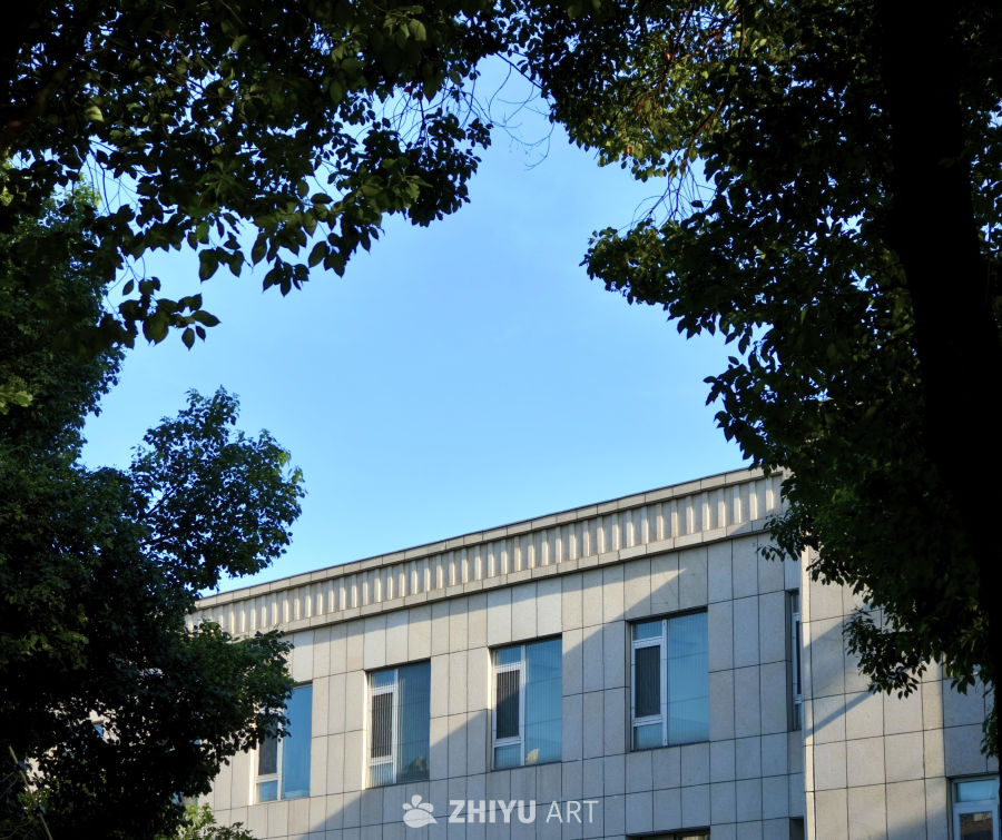 绿树荫下带有光影的建筑外观