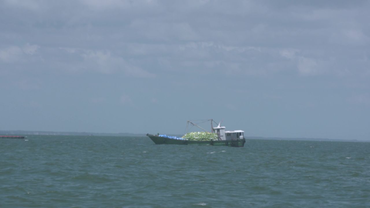 海洋牧场深海养殖
