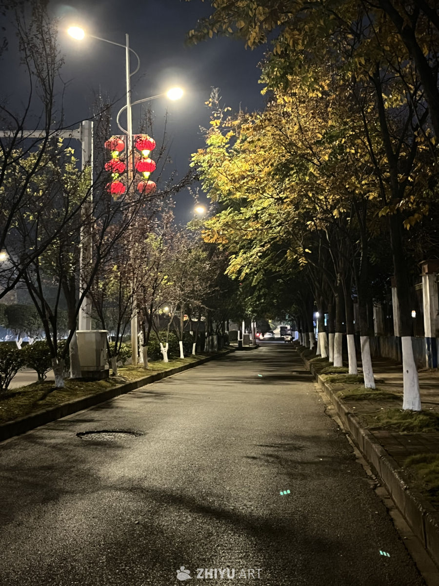 夜色中的城市小巷