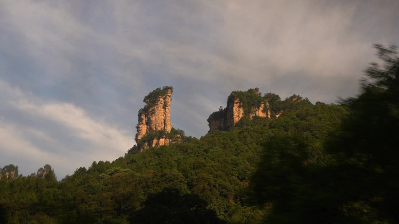 C0061 36