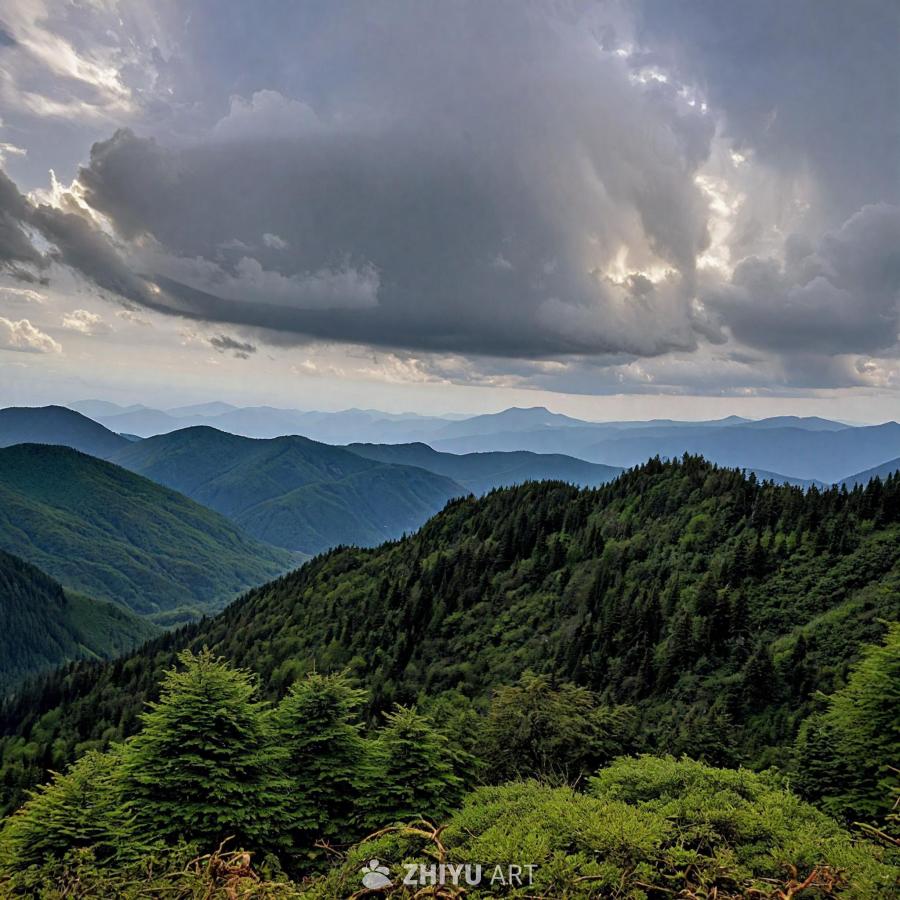 郁郁葱葱的绿色森林覆盖着山脉的较低斜坡。远处的山脉