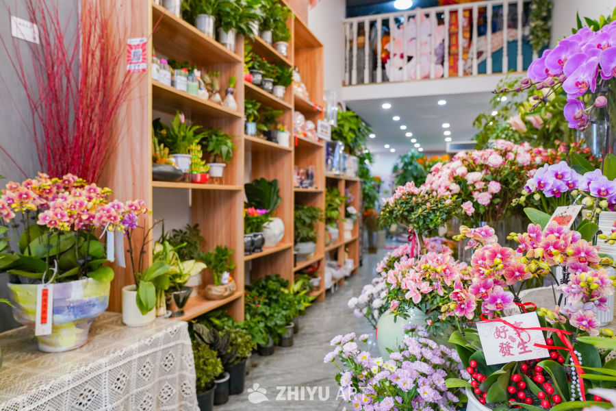 新春花店里的美好 5
