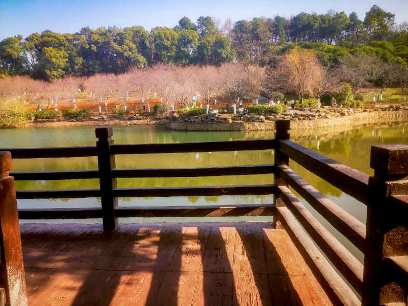 湖南省植物园秋天摄影图