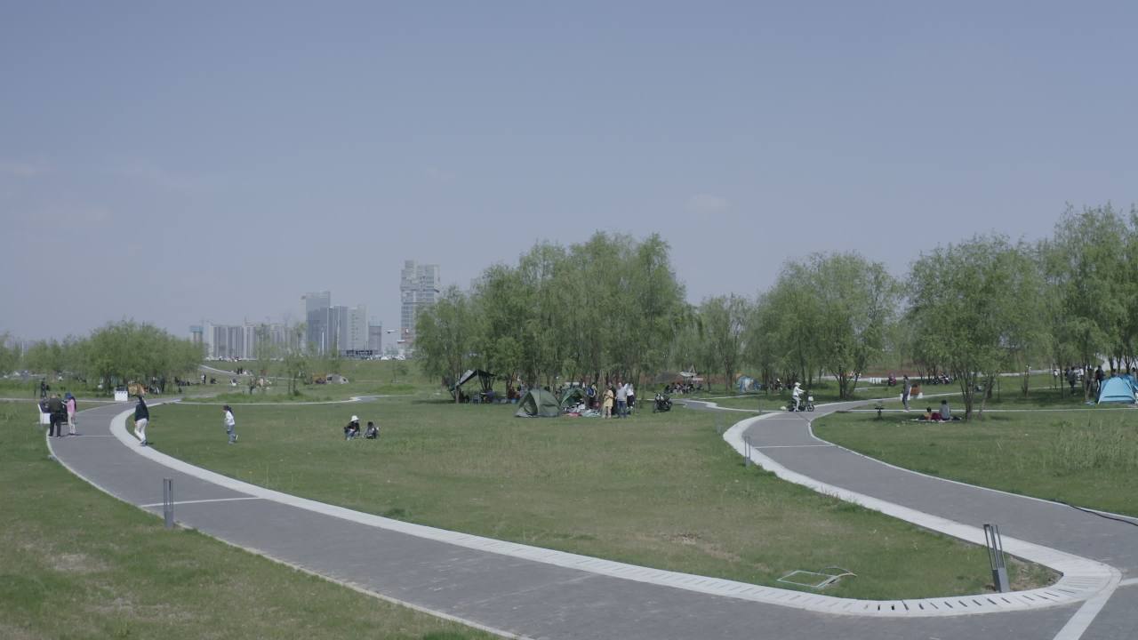 露营 5