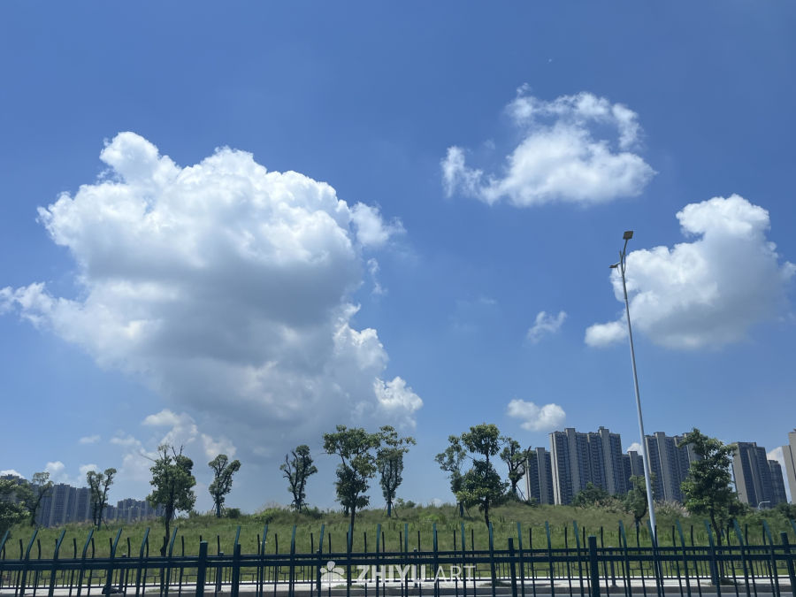 晴空下的城市绿意