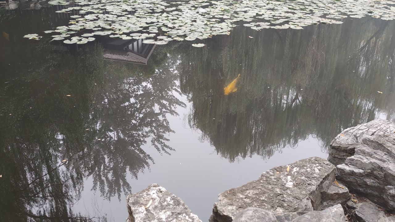 大学 保定 27
