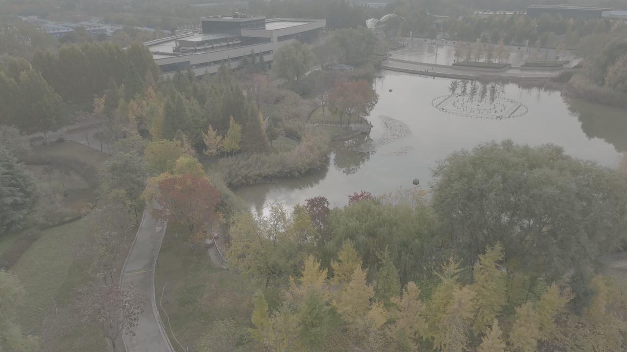 城市中的绿洲