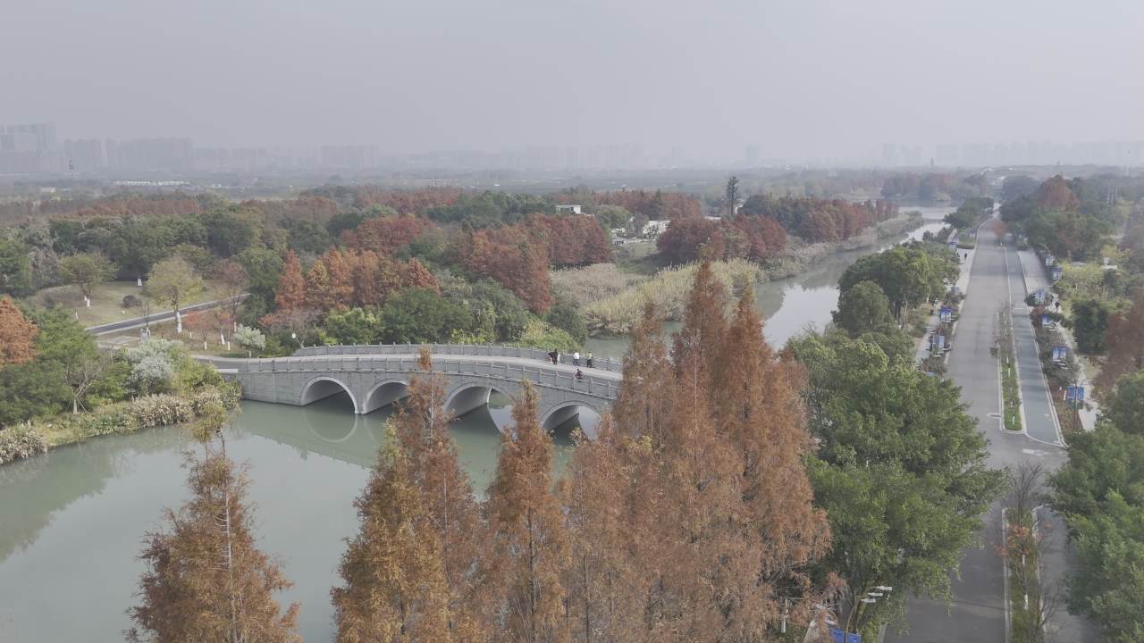 冬日的湿地 17
