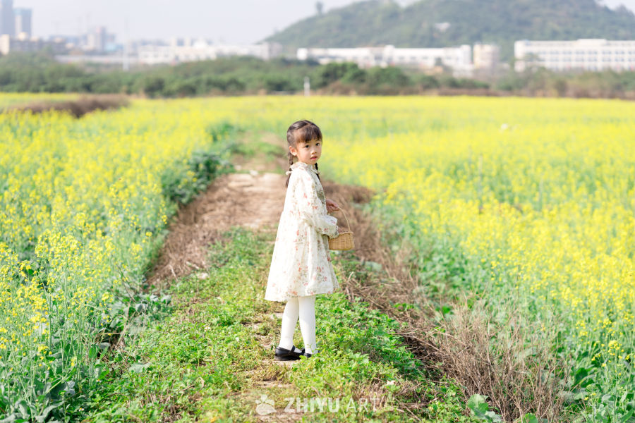 小女孩在油菜花田回眸