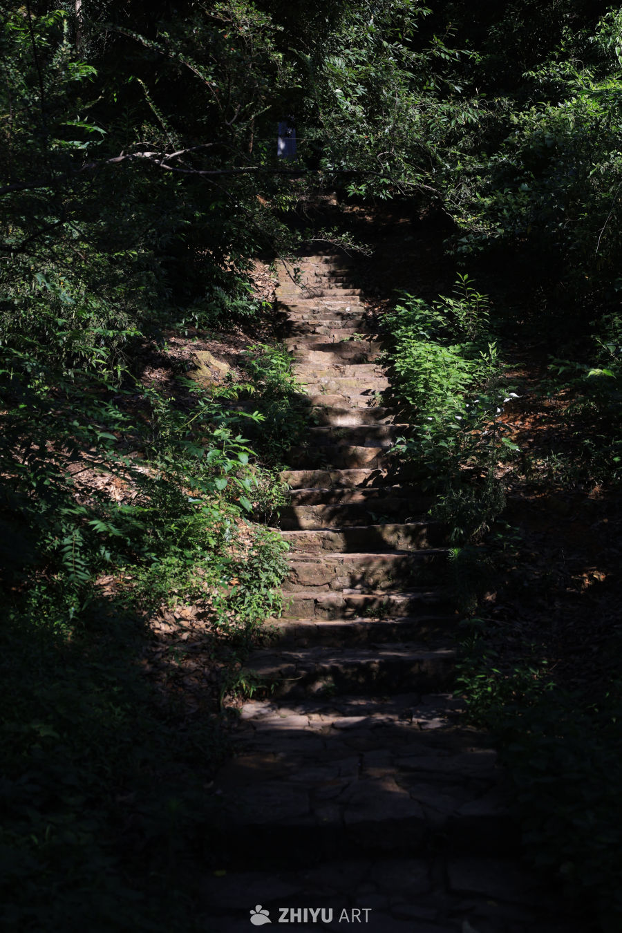 岳麓魅影