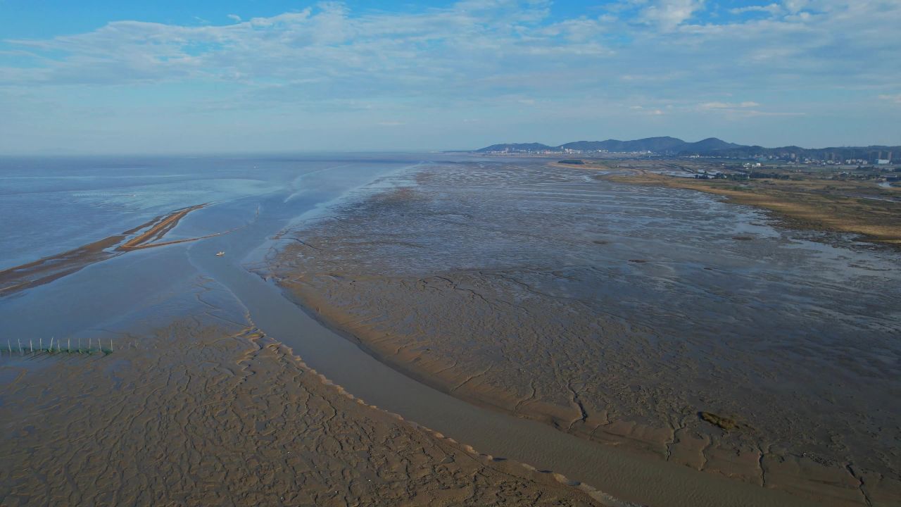 航拍福州闽江河口湿地公园 9