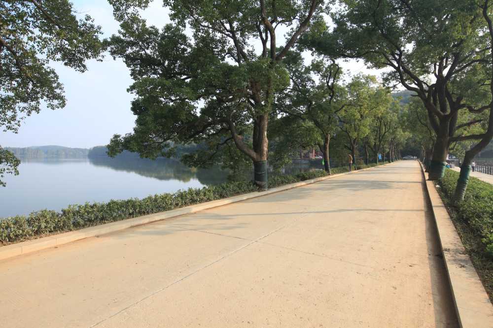 路