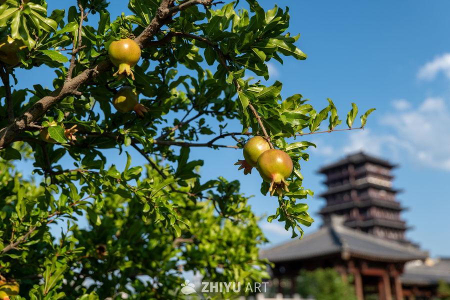 城市一角 28