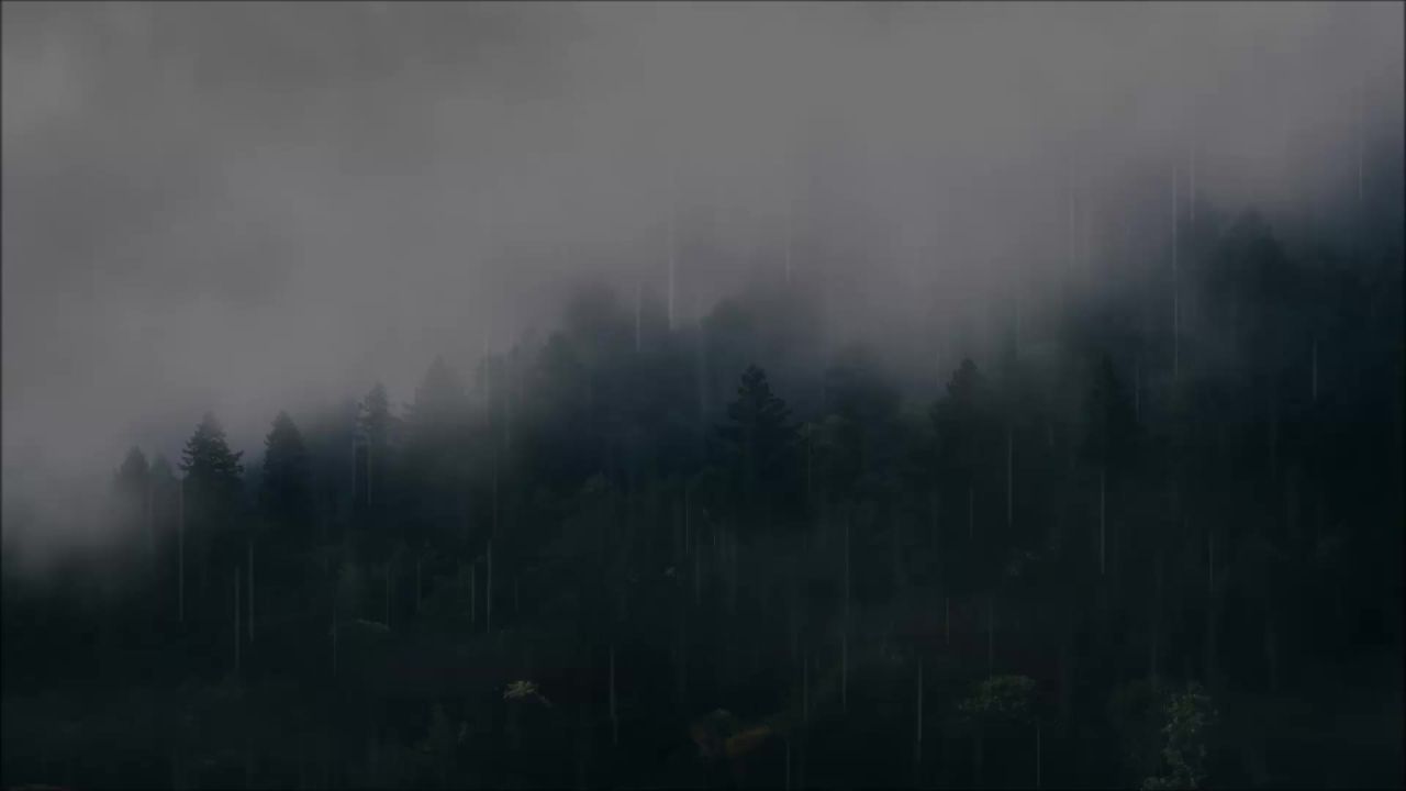 森林雨雾树木夜性质景观云天气黑云杉冷杉