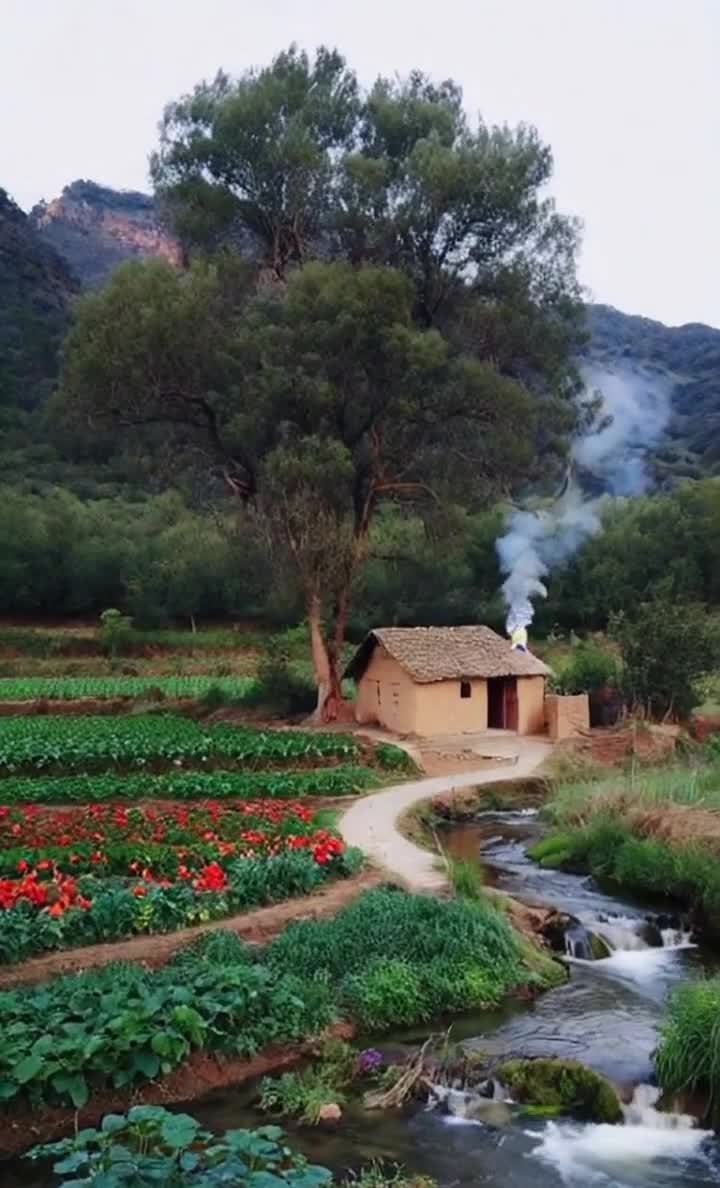 山脚下，一棵参天大树，枝叶茂密，在风中摇曳。大树旁