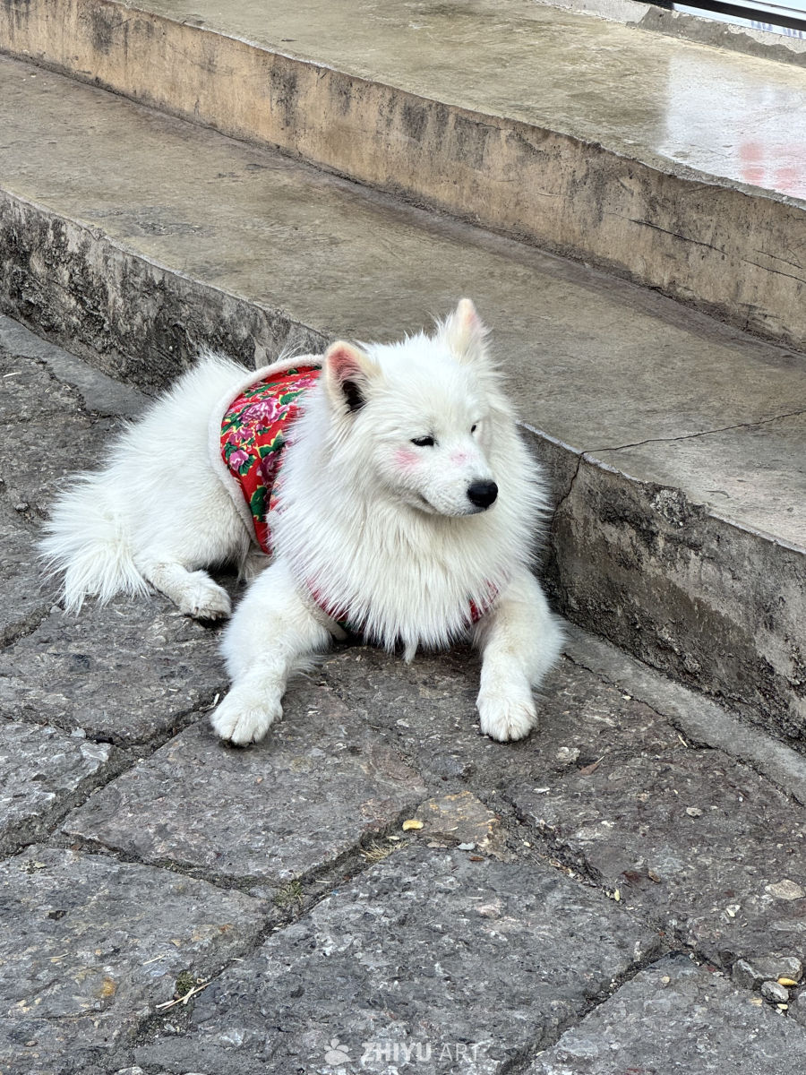 丽江古镇一隅