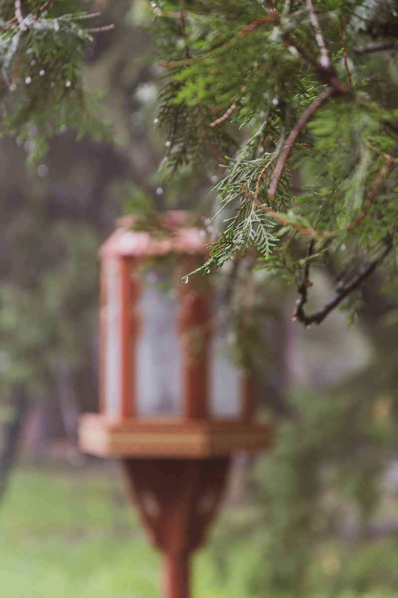 雨后天坛