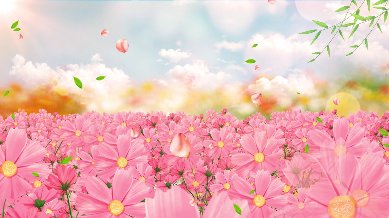 唯美花海向日葵盛世花开花朵鲜花花瓣婚礼飞舞台背景LED视频素材 13