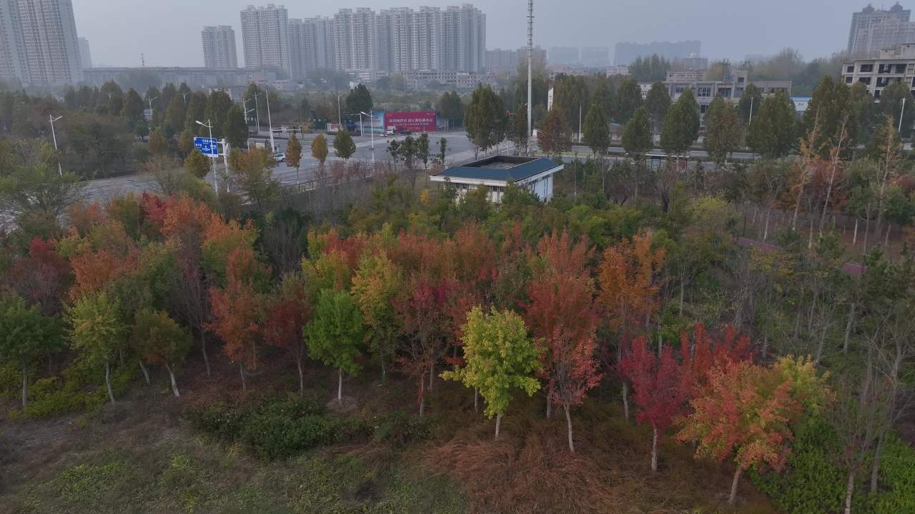 秋日城市公园