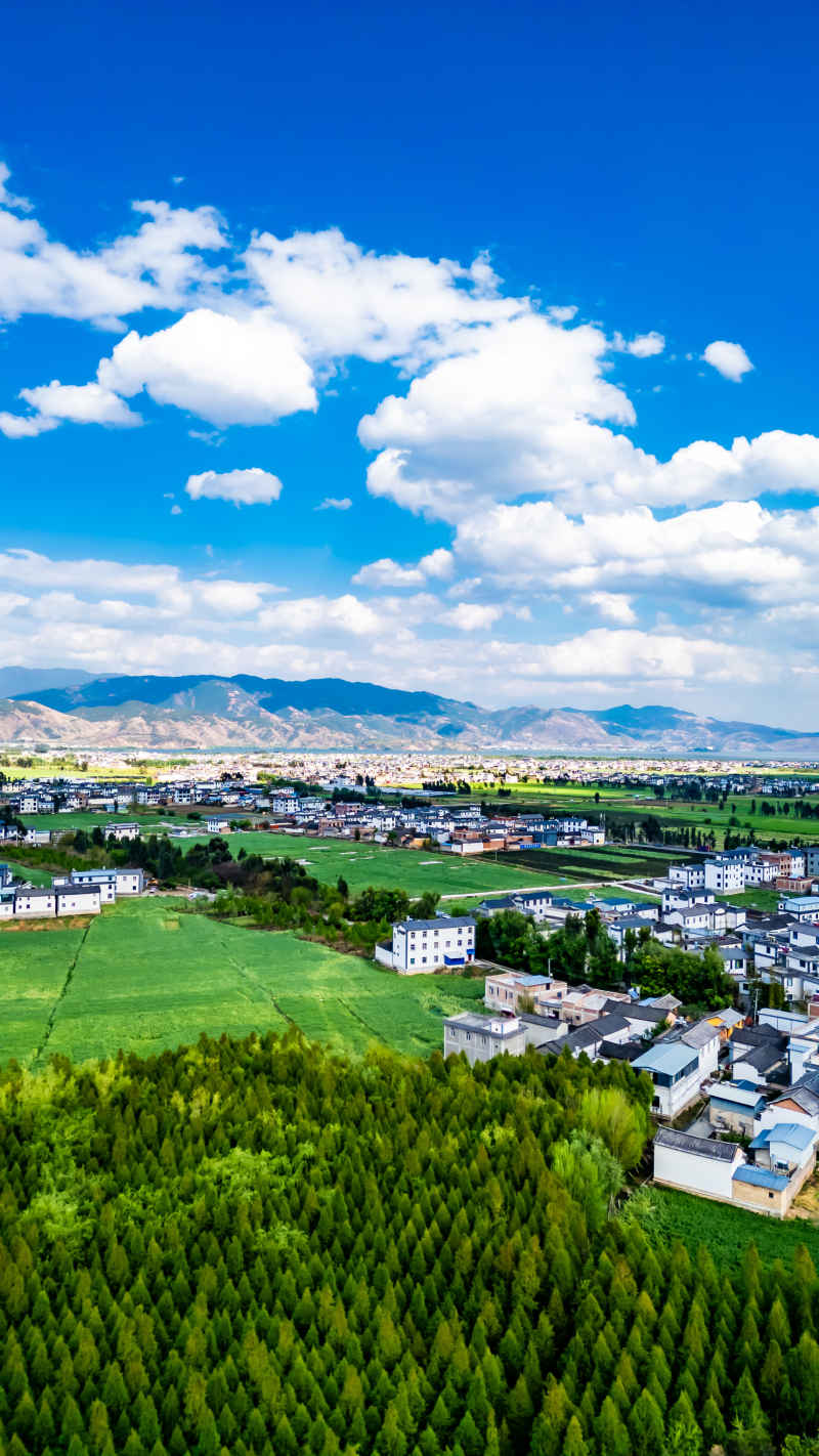 罗时江湿地公园