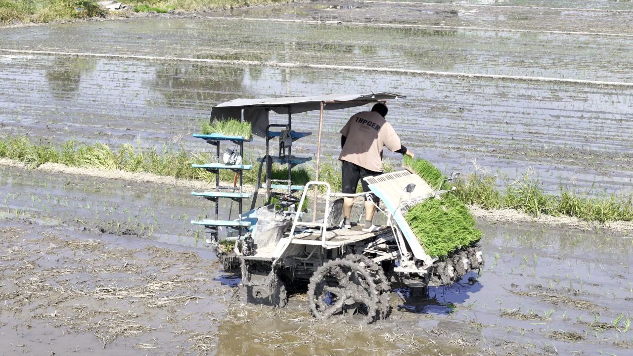 立秋浓忙 12