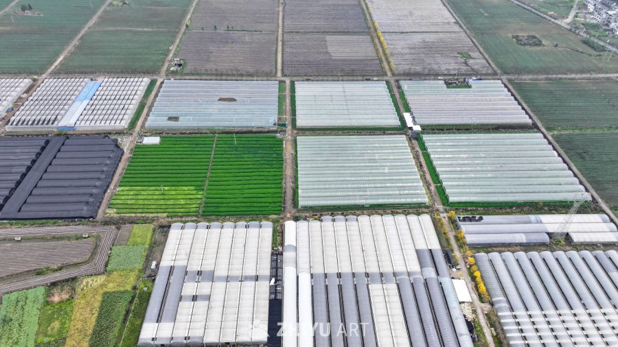  航拍农业大棚基地 农业产业乡村振兴 1