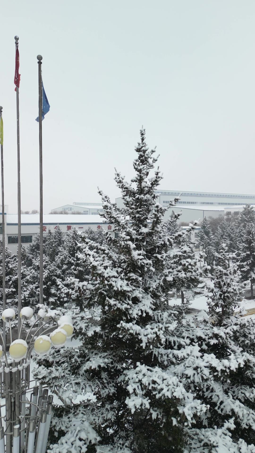 航拍 下雪 雪景 竖屏素材 3