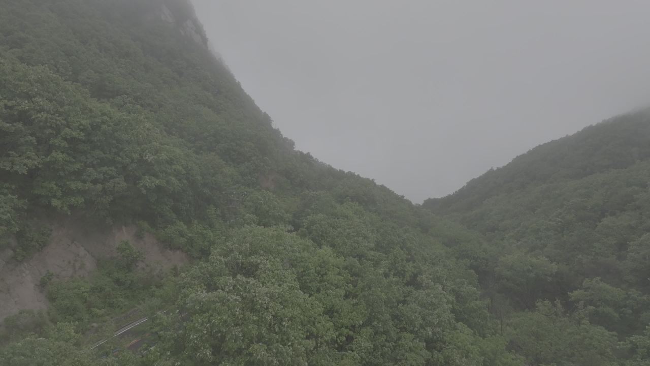 雾中山谷