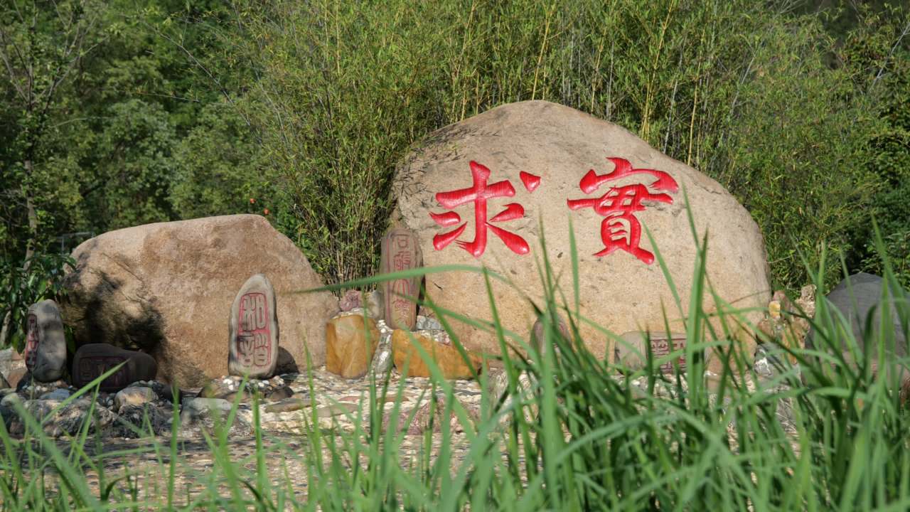 城市景色 8