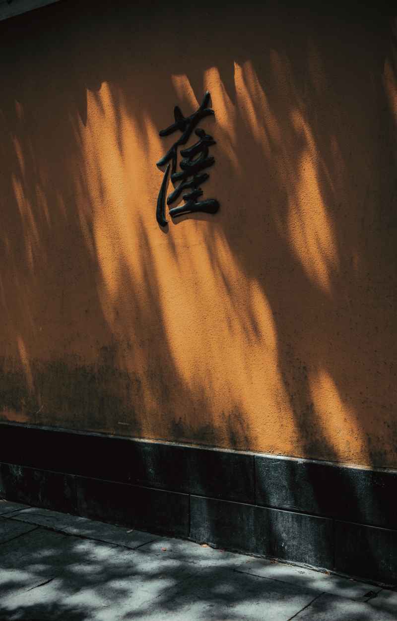 斑驳光影