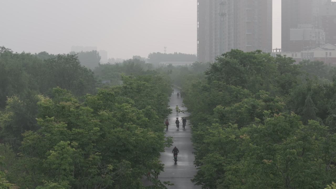 雾中城市的绿意
