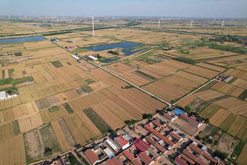 DJI_0448