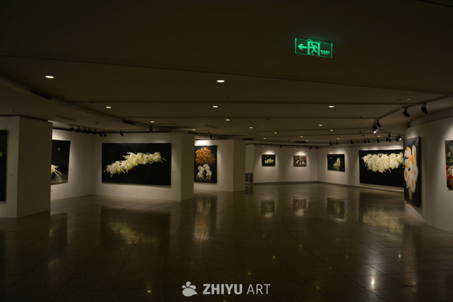 艺术馆的摄影展