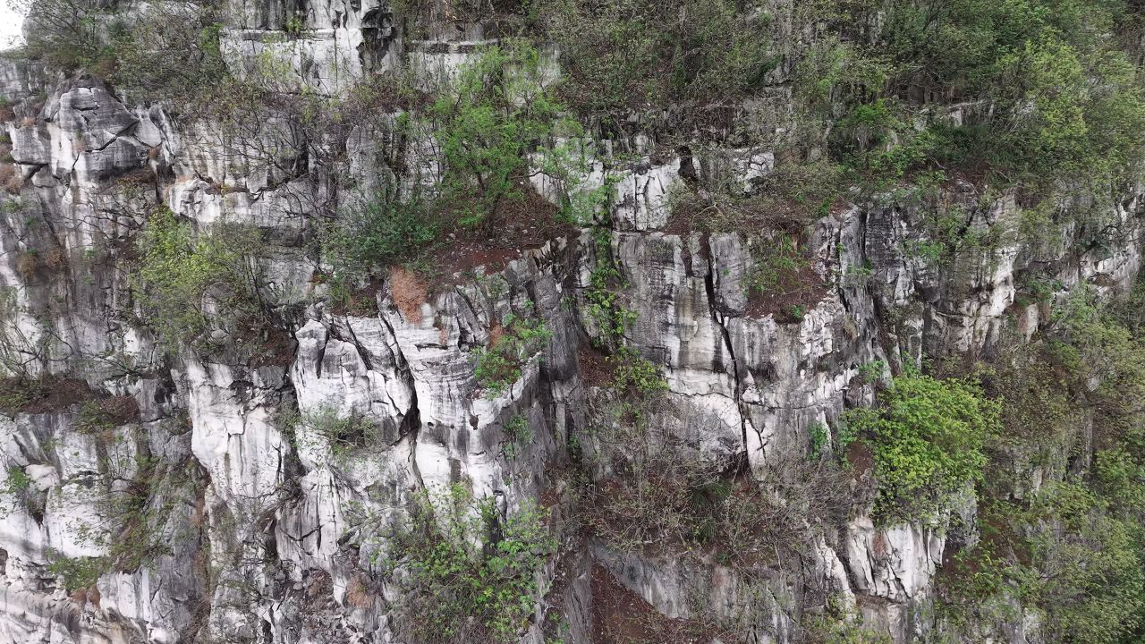 柳州 11